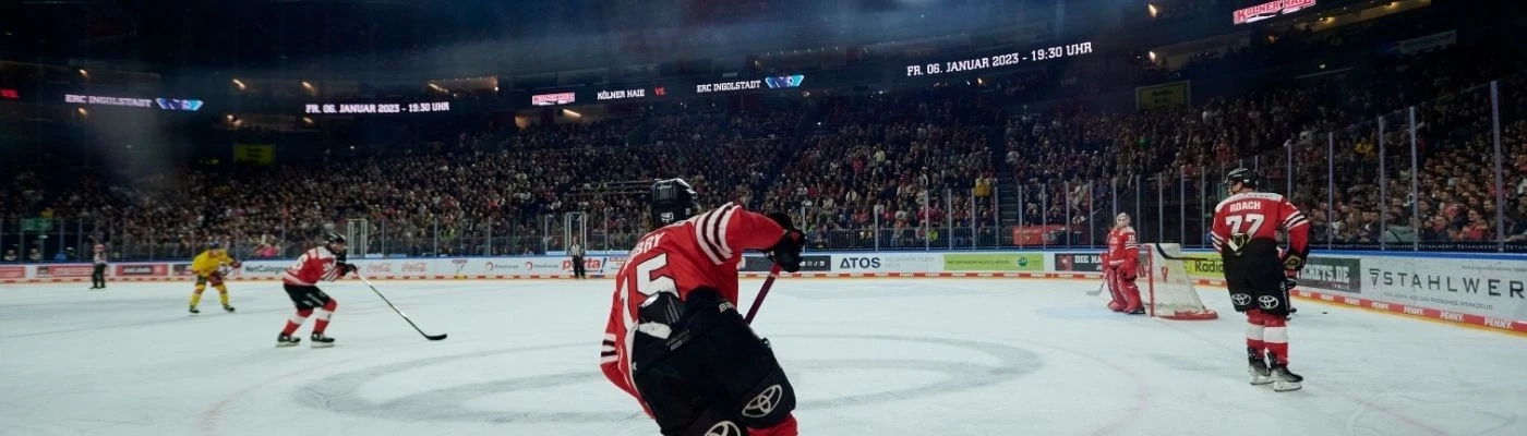 Kölner Haie speler in actie